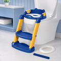 Kids Potty Training Ladder Seat