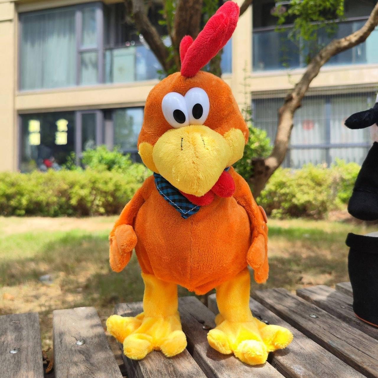 Dizzy the Dancing Rooster